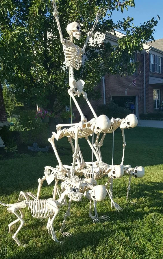 Klasik ve köpek iskeletlerinden oluşan eğlenceli bir sahne, ön bahçe için yaratıcı bir Cadılar Bayramı fikri.