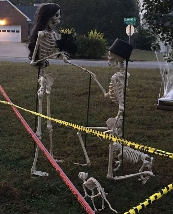 İskeletlerin evlilik teklif ettiği ve iskelet köpeklerin olduğu romantik Cadılar Bayramı sahnesi, çok şık ve sevimli bir fikir.