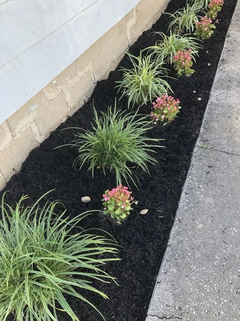 Terrazzo döşemeler ve siyah malç mekânda modern bir görünüm oluşturuyor.