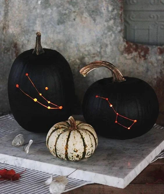Mat siyah takımyıldızı balkabakları, Halloween için çok sevimli, şık ve cesur görünüyor, korkutucu değil, sadece sonbaharda da kullanılabilir.