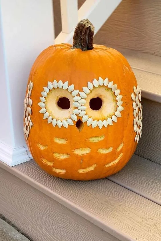 Basit ve hızlı yapılan sevimli oyma baykuş balkabağı, sonbahar veya Halloween için harika bir fikir.