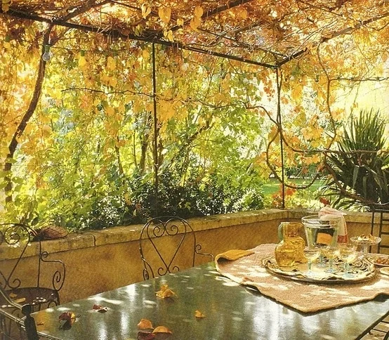 Sonbaharda verandanızı temiz tutmak için yaprakları sıkça süpürün.
