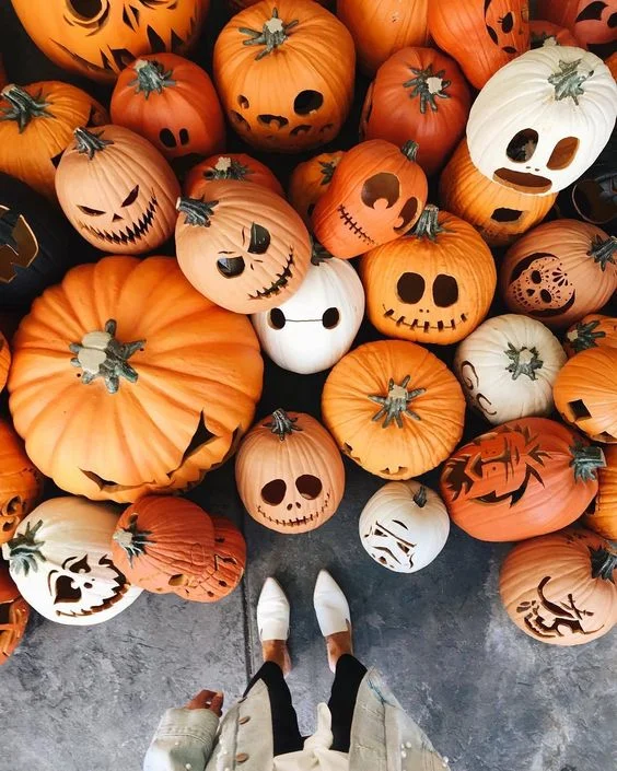 Farklı tarzda harika Halloween jack-o'-lantern kabak koleksiyonu, verandanızı süslemek için güzel bir fikir.