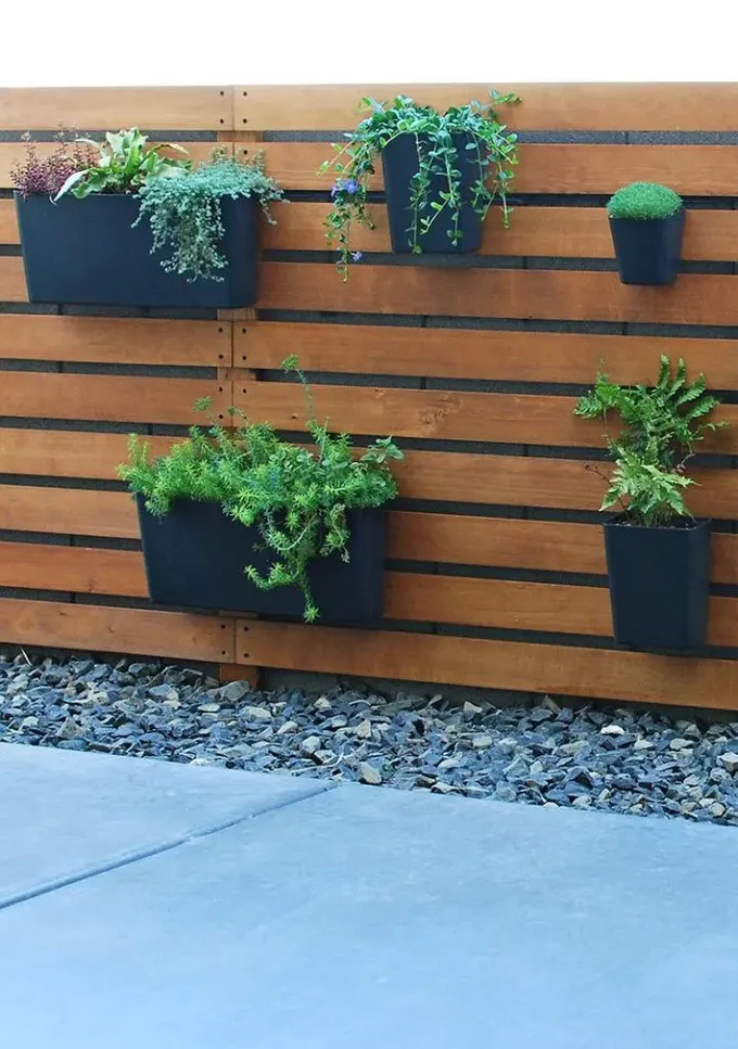 Çubuklu çit, modern siyah saksılarla yeşillik ve çiçeklerle döşenmiş. Sevimli bir mini dikey bahçe.