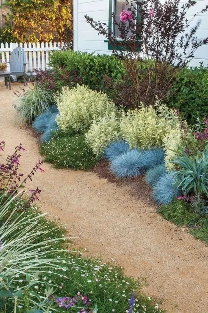 Çalılıklar ve çiçekli yer örtücüler, xeriscape için az bakım isteyen ve hoş görünen bir kombinasyon.