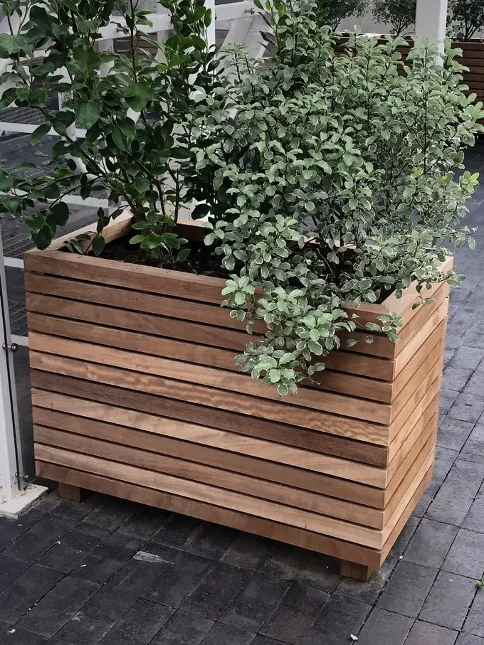 Zengin renkte boyanmış yeşillikli saksı, modern mekanlar için çağdaş bir çözümdür.