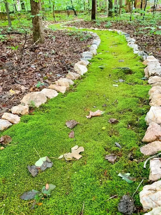 Kayalarla çevrili yosunlu yol harika görünüyor, ancak sadece hafif yaya trafiği için uygun olduğunu unutmayın.