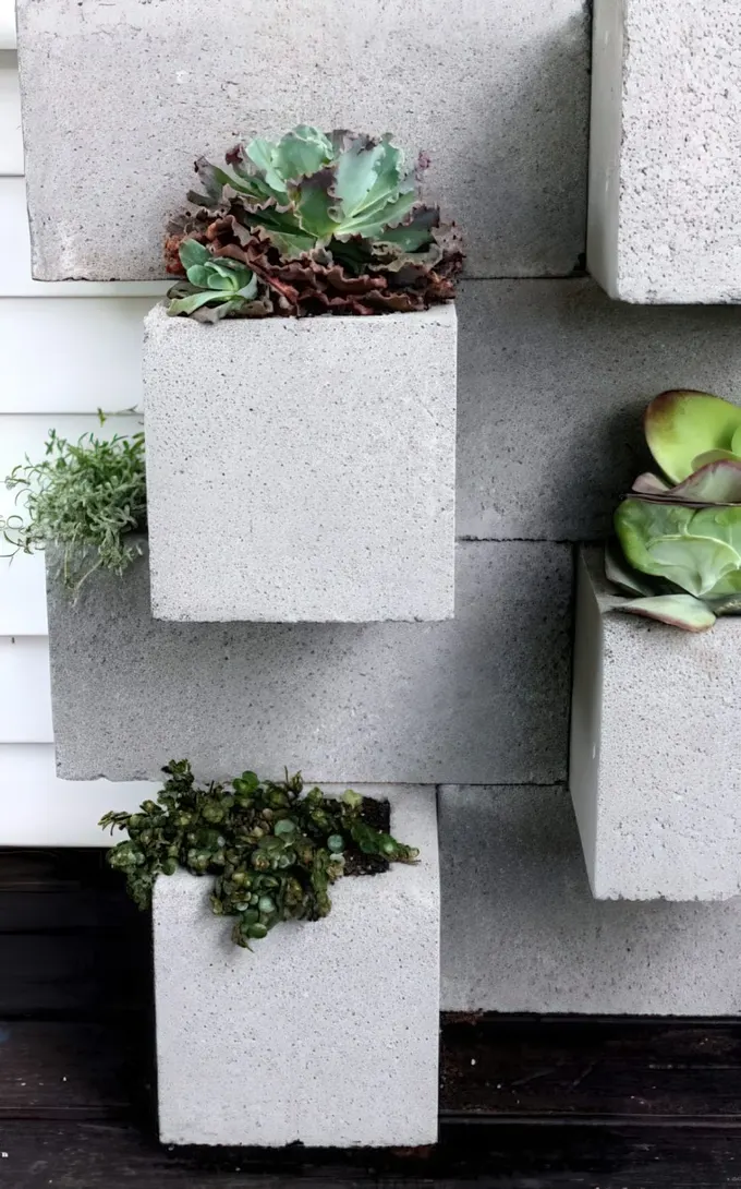 Beton duvarda gömme saksılar içinde yeşillik ve sukulentler, şık bir dış mekan dekorasyonu.