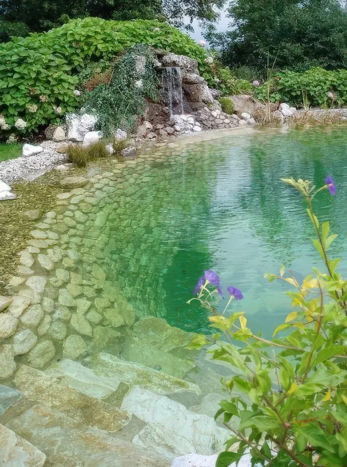 Taş ve küçük şelale ile yapılmış doğal havuz, etrafı yeşillik ve çeşitli bitkilerle çevrili.