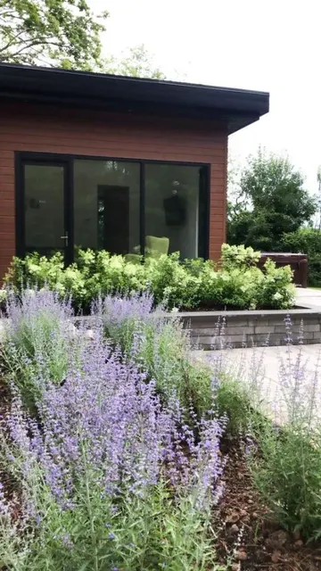 Beyaz ortancalar ve mor çiçekler, renk ve doku katarak modern bahçeye şıklık getiriyor.