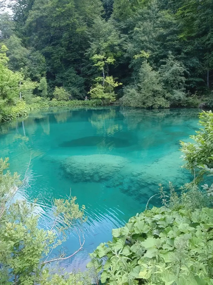 İçinde çok sayıda bitki ve bazı kayalar bulunan, tamamen doğal bir hissi olan büyük boy doğal yüzme havuzu.