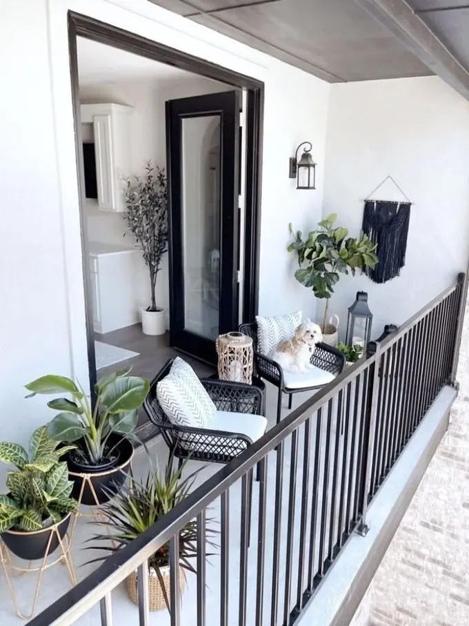 Siyah beyaz balkon iç mekan renk düzenini desteklerken yeşilliklerle açık havada hissi yaratılmış.