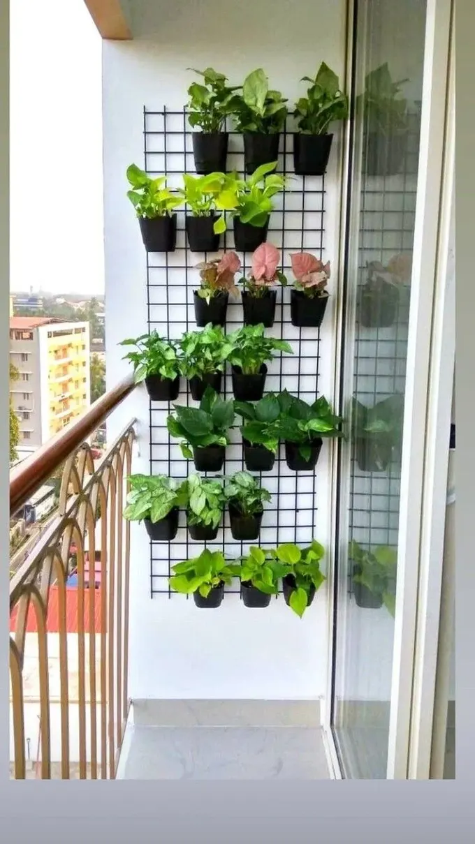 Balkona bir ızgara asın ve yeşilliklerle dolu saksıları tutturup küçük bir bahçe oluşturun.