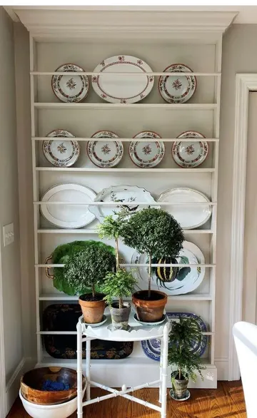 Raf, vintage tabaklar sergiliyor ve yanına yerleştirilen saksı bitkileriyle güzel bir dekor oluşturuyor.