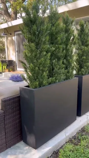 Büyük koyu renk saksılardaki ağaçlar, terasınızı doğal yolla gizler.