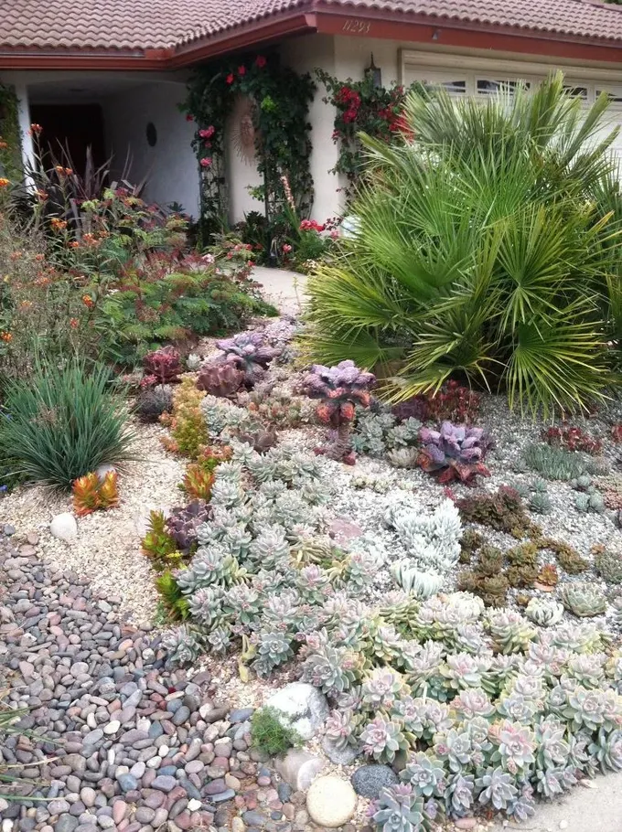 Bu son derece yeşil xeriscape, sukulentler, çimler, tropik bitkiler ve bazı çiçekleri içeriyor.