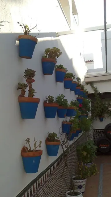 Beyaz çit, tamamı canlı mavi saksılarla dekore edilmiş bir bahçe oluşturuyor.