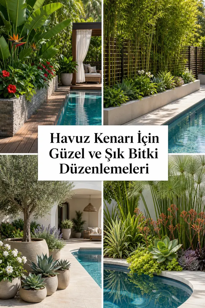 Havuz Kenarı İçin Güzel ve Şık Bitki Düzenlemeleri