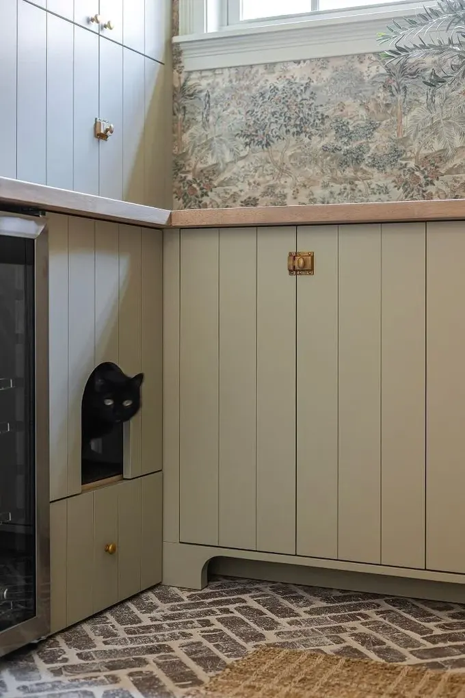 Giriş odasındaki şık zeytin yeşili dolap kedi tuvaletini gizliyor, kedi için kavisli kapı var.