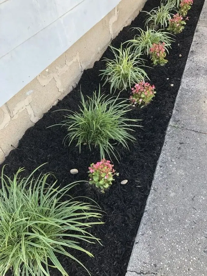 Terrazzo döşemeler ve siyah malç mekânda modern bir görünüm oluşturuyor.