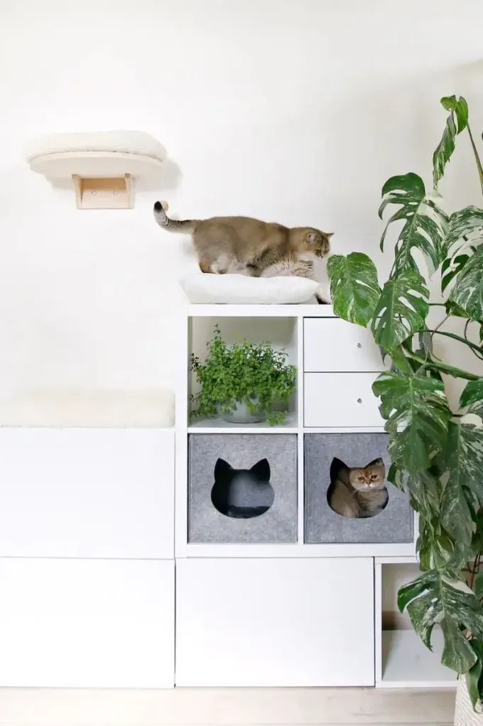 Bu IKEA Kallax depolama ünitesi bölmeler, çekmeceler ve kedi alanları içeriyor.