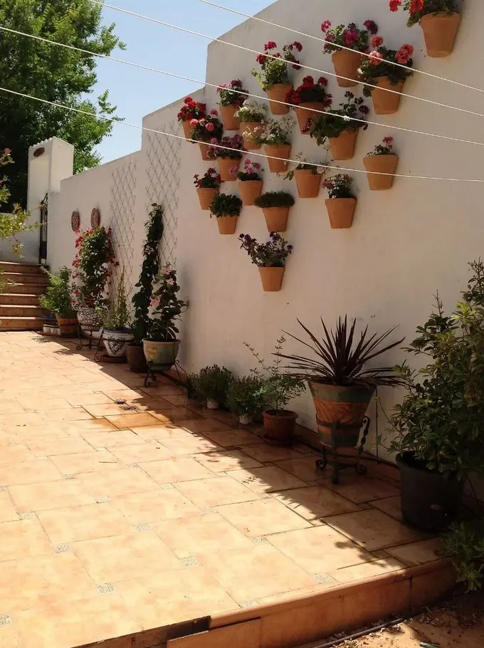 Beyaz çit, parlak çiçeklerle dolu terracotta saksı düzenlemesiyle yenilenmiş. Sarmaşıklar yayıldığında kafesler çekiciliği artıracak.