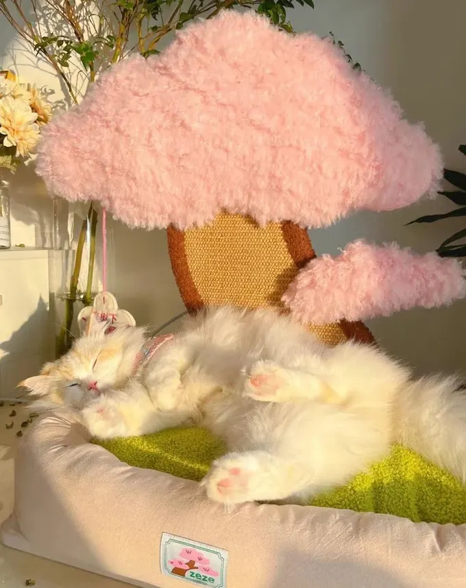 Pembe bulutlar ve çimen yeşili yastığıyla eğlenceli ve neşeli bir kedi yatağı.