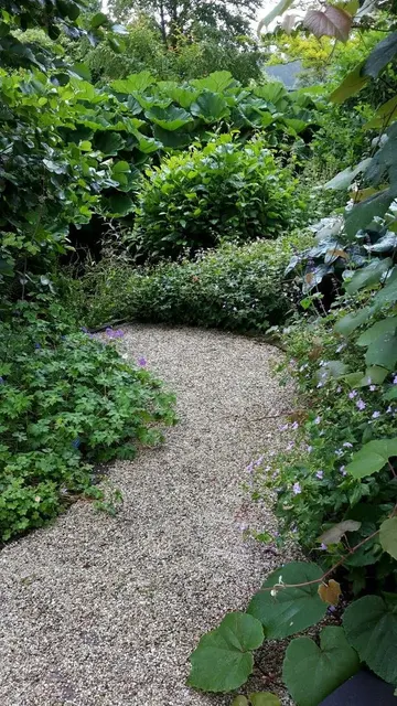Bu bol yeşillikli, çalılıklı ve ağaçlı bahçe çok narin çiçeklerle tamamlanmış. Taş döşeme daha resmi bir hava katmak için çakıl taşlarıyla yapılmış.