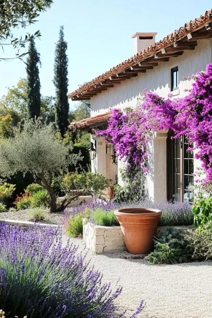 Giriş, renkleriyle büyüleyen bougainvillea ile kaplanmış, lavanta ise bunu tamamlıyor.