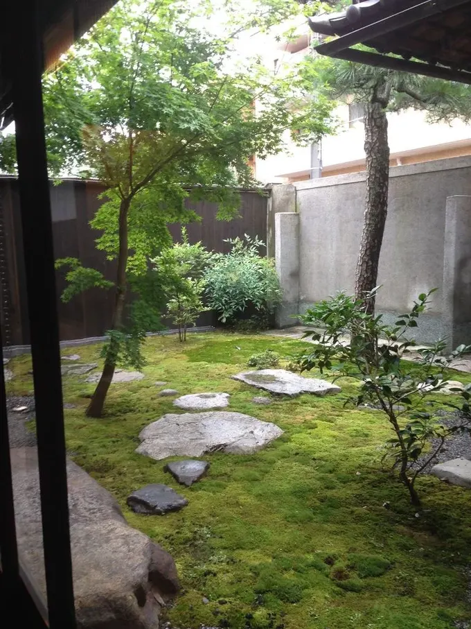 Bu küçük Japon bahçesi tamamen yosunla kaplanmış, kayalar ve birkaç ince ağaç bulunuyor.