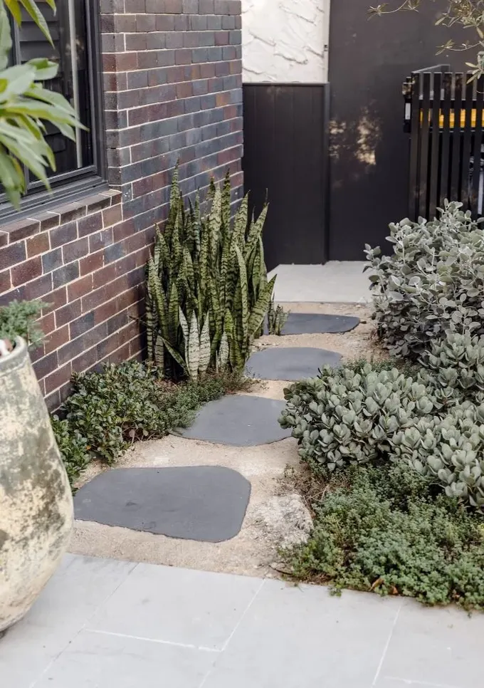 Yer örtücüler xeriscape için en iyi çözümlerden biri: güzel, kullanışlı ve peyzajda dolgu görevi görüyor.