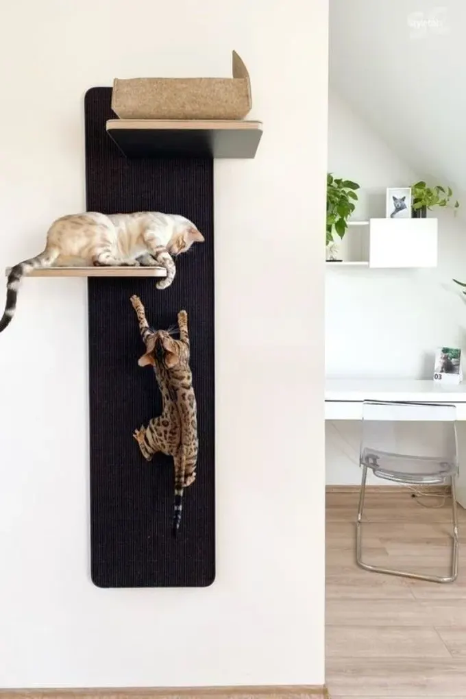 Duvara birkaç raf ve tırmalama direği takın, işte mini bir kedi ağacınız oldu.
