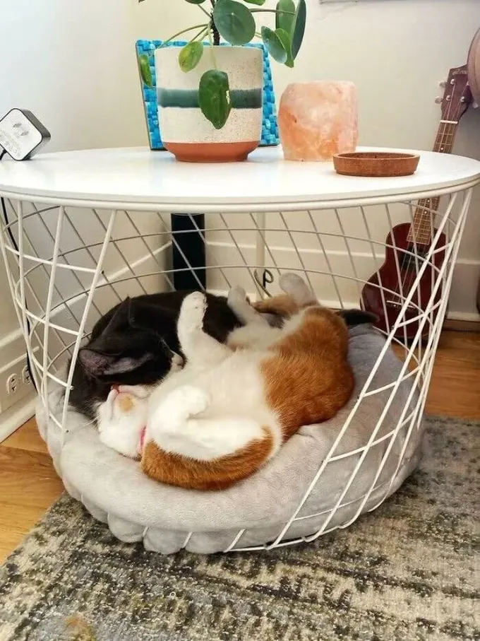 İçinde yumuşak kedi yatağı bulunan yan sehpa, mekânınıza uyacak çok şık ve sevimli bir fikir.