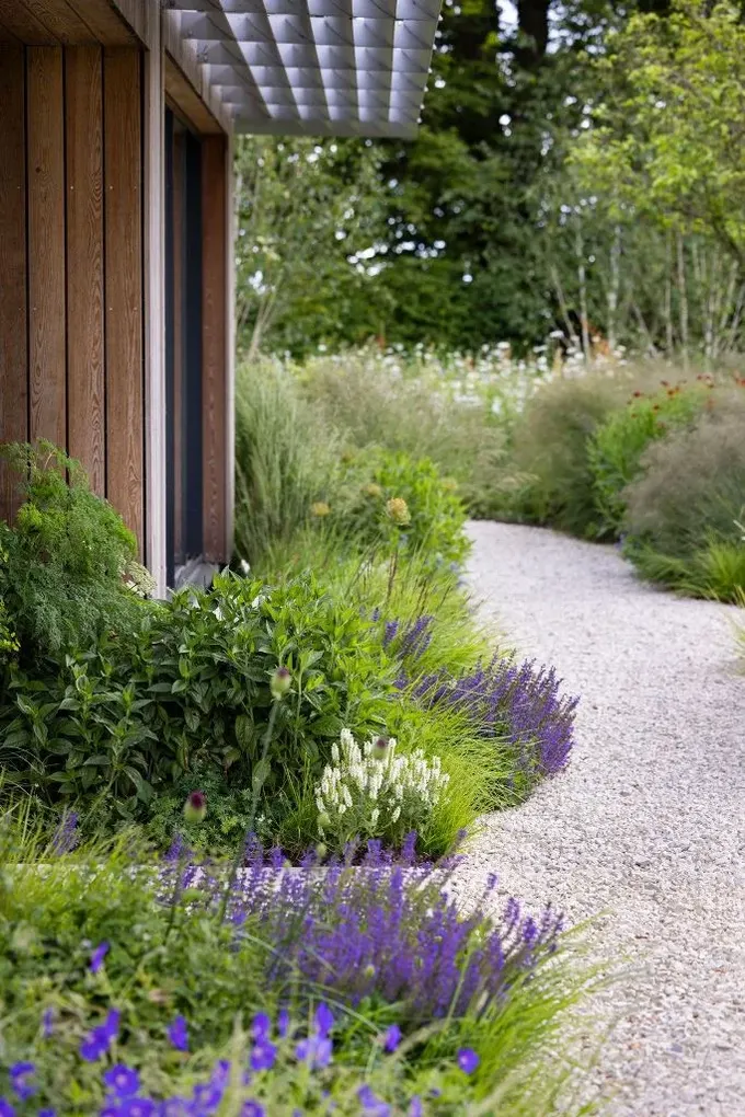 Astilbe ve lavanta, modern dış mekan için göz alıcı ama abartısız bir fikir.
