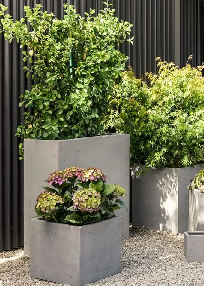 Beton kutu saksılar, yeşillikler ve çiçeklerle çağdaş veya minimalist alanlar için idealdir.