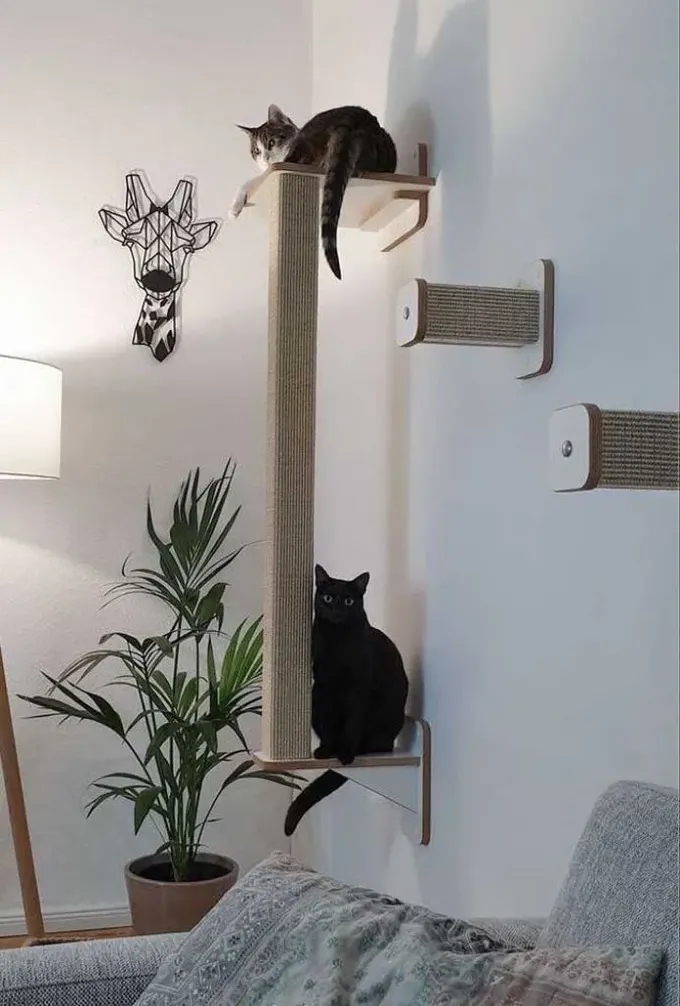 Duvara monte tırmalama rafları ve kapılar, hazır bir kedi ağacı oluşturur.