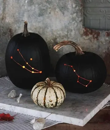 Mat siyah takımyıldızı balkabakları, Halloween için çok sevimli, şık ve cesur görünüyor, korkutucu değil, sadece sonbaharda da kullanılabilir.