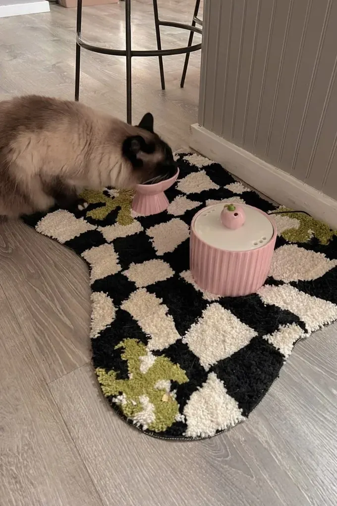 Baskılı halı, pembe kase ve su çeşmesiyle bu eğlenceli mama alanını çok seviyorum, gerçek bir mutluluk dekoru.