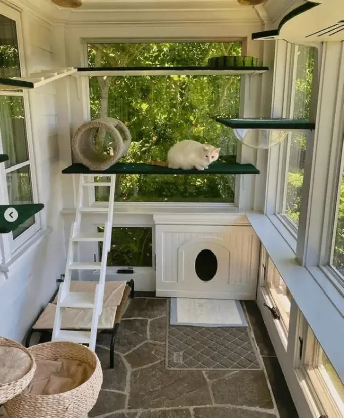 Balkonda büyük ve şık bir kedi patio; raflar, yataklar, tüneller ve köşesinde tuvaleti var.
