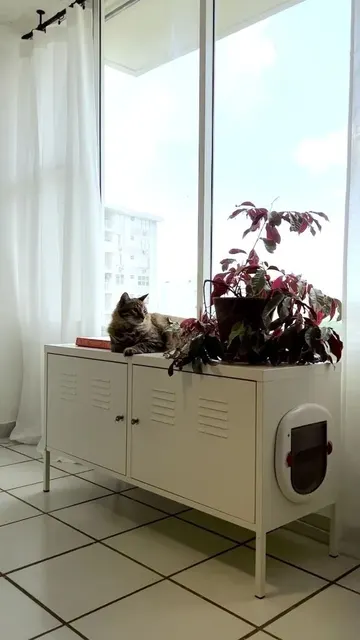 Dolaptan kapı keserek mükemmel gizli bir kedi tuvaleti yapabilirsiniz. Üstü bitkiler için kullanılabilir.