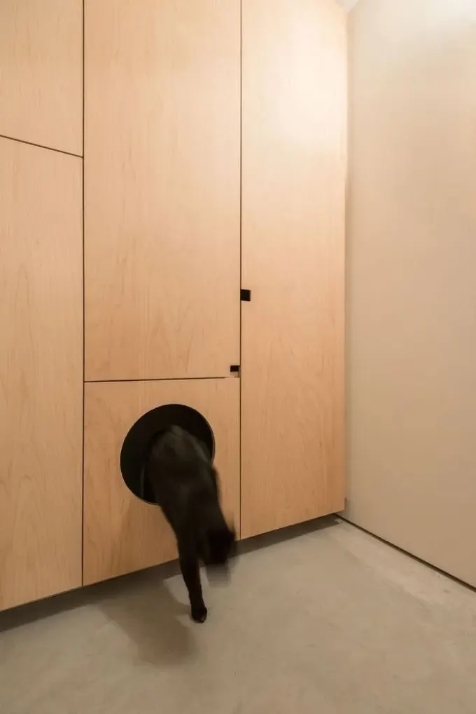 Kedi görünümü önceden planlandıysa, sadece kapı kısmı görünür şekilde saklanabilir.