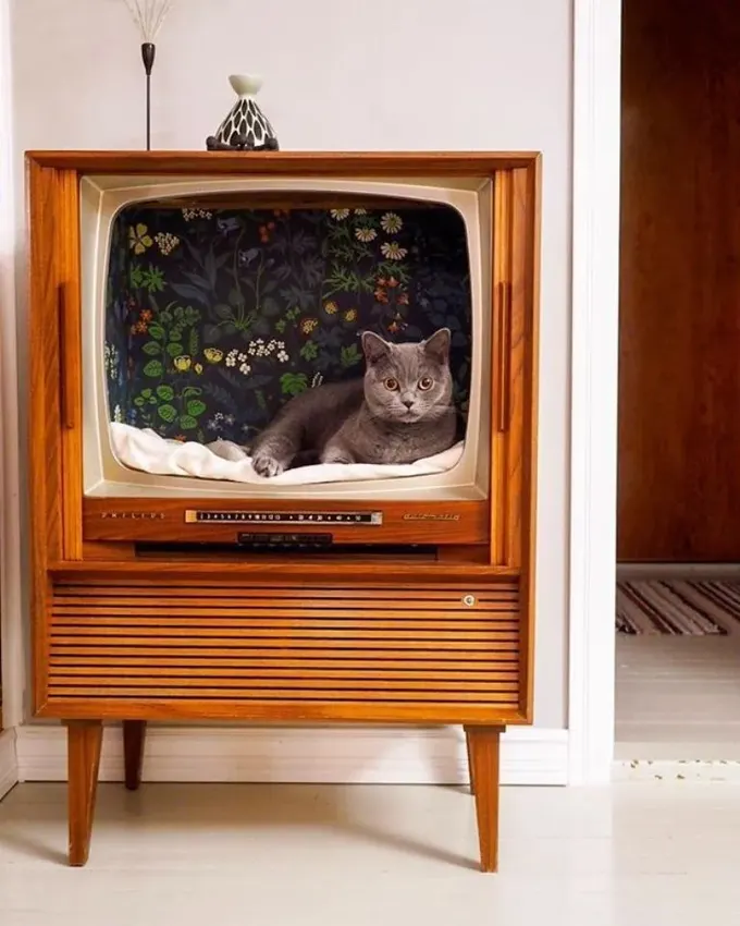 Duvar kağıdıyla kaplanmış ve içinde yastık bulunan eski televizyon, retro havası olan mükemmel bir kedi evidir.