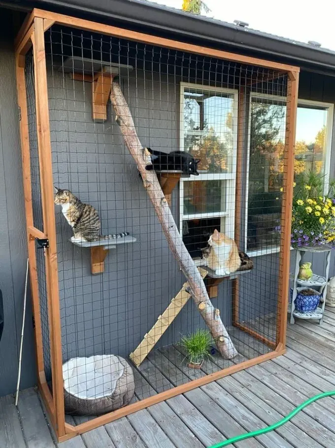 Bu küçük balkon kedilerin temiz hava almasını sağlar. Rahat dinlenmek için raflar ve bir kedi yatağı yeterlidir.