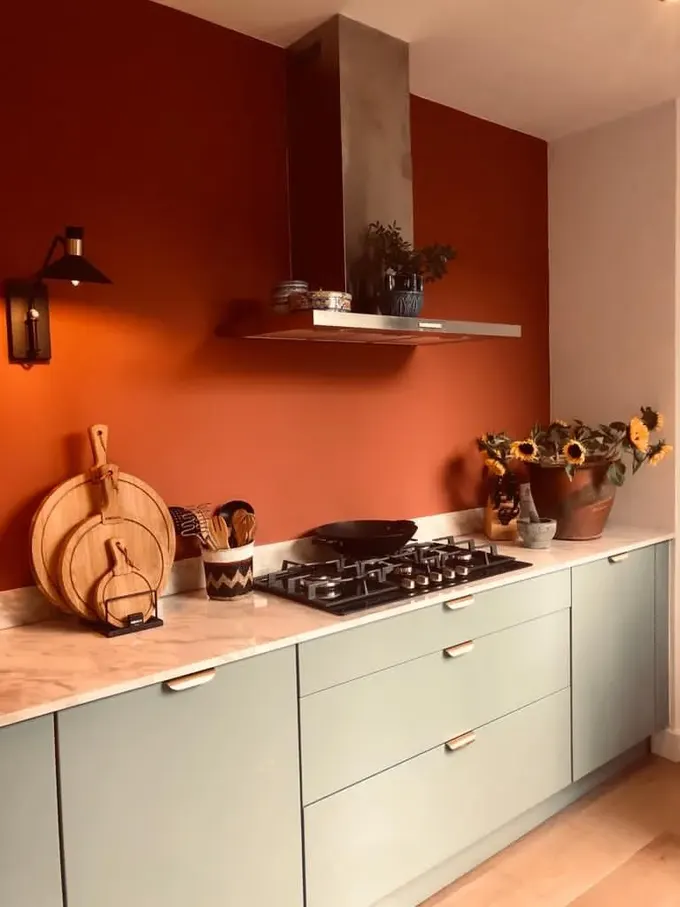 Minimal mutfak; yanık turuncu duvar, adaçayı yeşili dolaplar ve siyah detaylarla cesurca tasarlanmış.