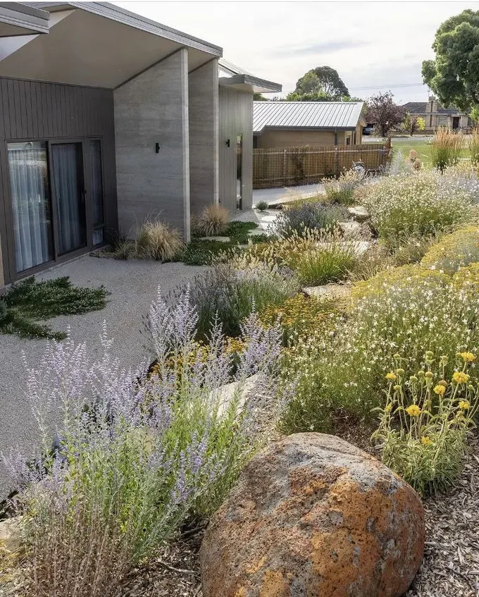 Modern xeriscape; basit çiçekler, yabani çiçekler, taşlar, malç ve çakıl kullanılmış. Çiçekli yer örtücüler evi yumuşatıyor.
