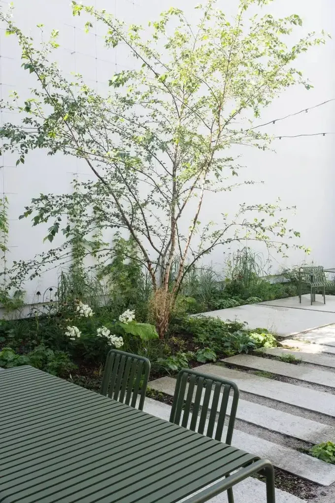 Minimalist sıra ev bahçesinde yeşillik, beyaz çiçekler ve tek bir ağaç ön plana çıkıyor.