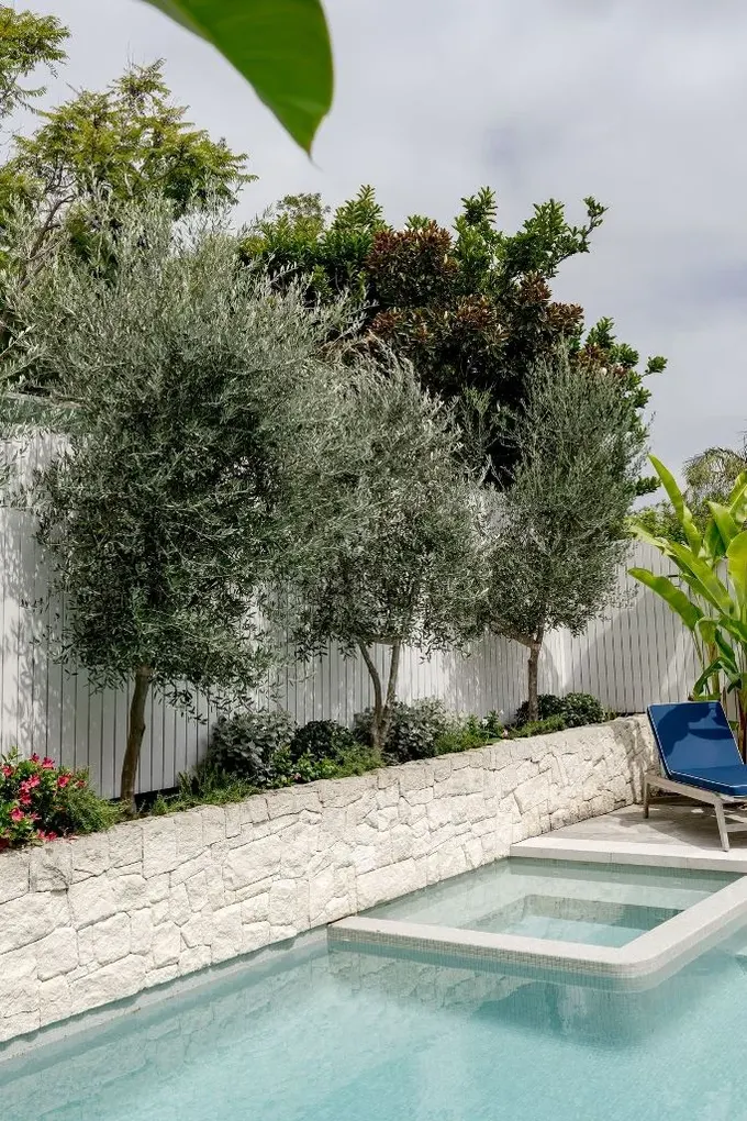 Yükseltilmiş bahçe yatağı Akdeniz havası veren beyaz taşla kaplanmış, zeytin ağaçları atmosferi güçlendiriyor.