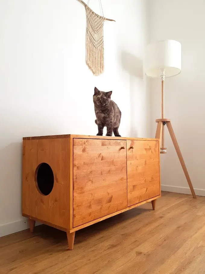 Bu renkli dolap içinde kedi kumu kutusu saklı ve modern ortama zarar vermiyor.