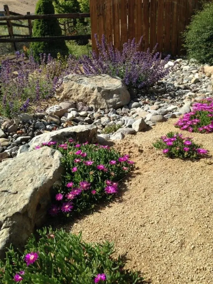 Kurutulmuş nehir yatağı, parlak çiçeklerle süslenerek göz alıcı bir görünüm kazanmış, başka bir xeriscape fikri.