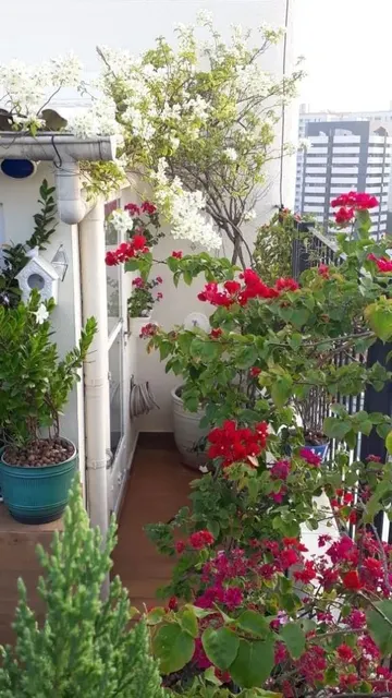 Mobilya için yer yoksa balkonunuzu güzel bir çiçek bahçesine çevirebilirsiniz.